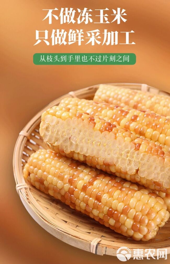 云南西双版纳小花糯玉米低卡减脂期食物