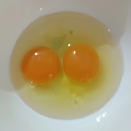 馆陶县绿壳蛋