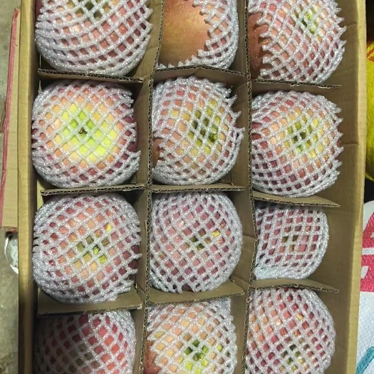 彝良县昭通糖心苹果10斤装