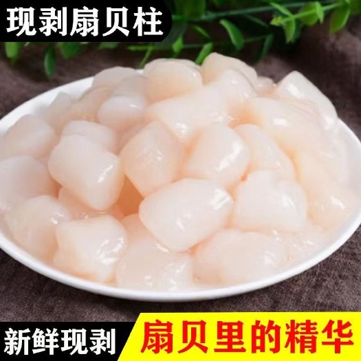连云港扇贝柱新鲜速冻冷冻水产元贝柱瑶柱扇贝扇贝丁海鲜整箱批发