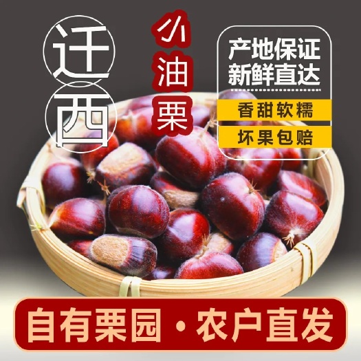 迁西县包邮迁西产地直发电商代发五斤迁西鲜板栗 糖炒板栗