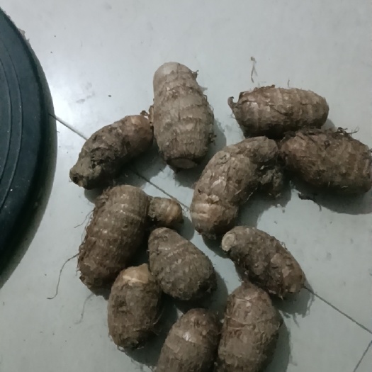 临泉县红牙芋头，