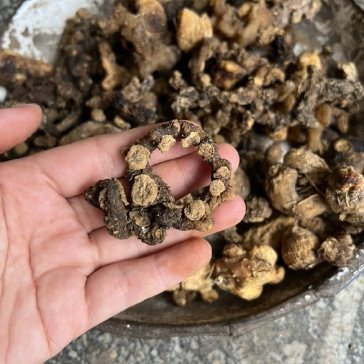 龙胜县黄精 干黄精