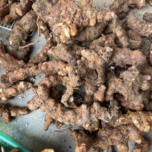 贺州白肉粉质不变色土茯苓大土