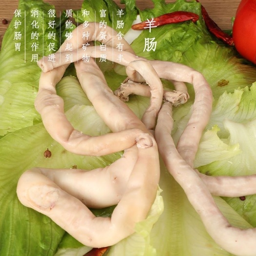成都清真八成熟羊肠批发新鲜羊肠羊盘肠半熟羊小肠