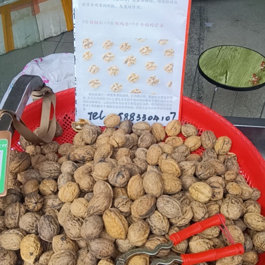 眉山黄桃