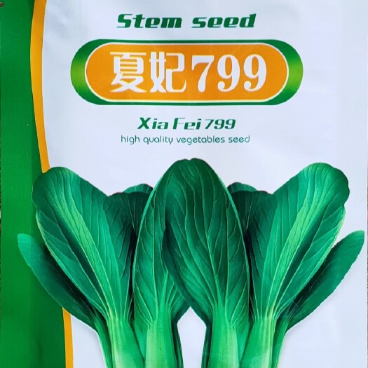 聊城上海青种子 青梗菜高温季节不易拔节，大叶青梗，产量