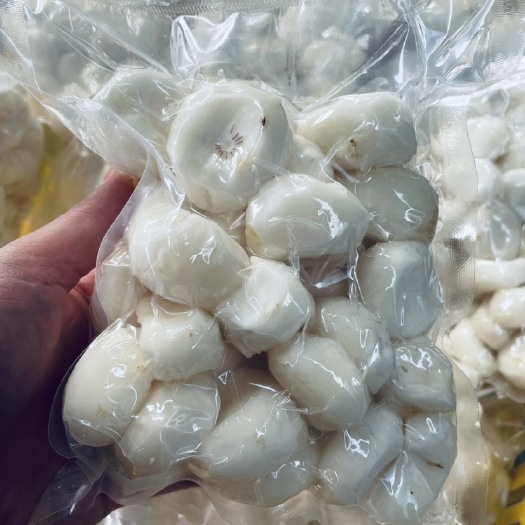 平乐县白马蹄肉￼￼