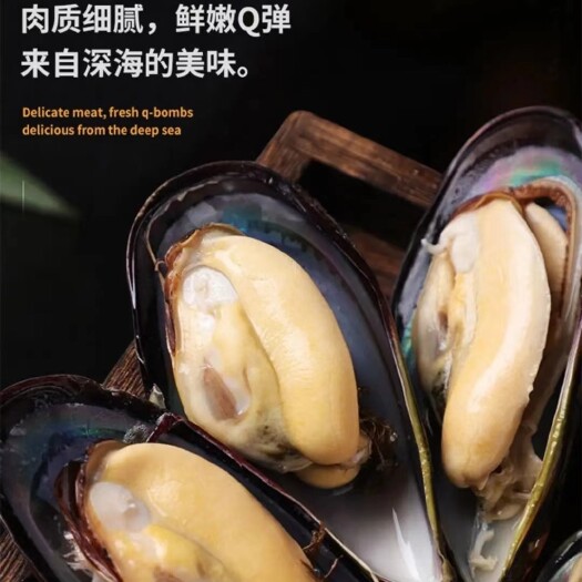 连云港海虹 ，青口贝，保鲜保肥  海鲜原产地全国发货  批发价