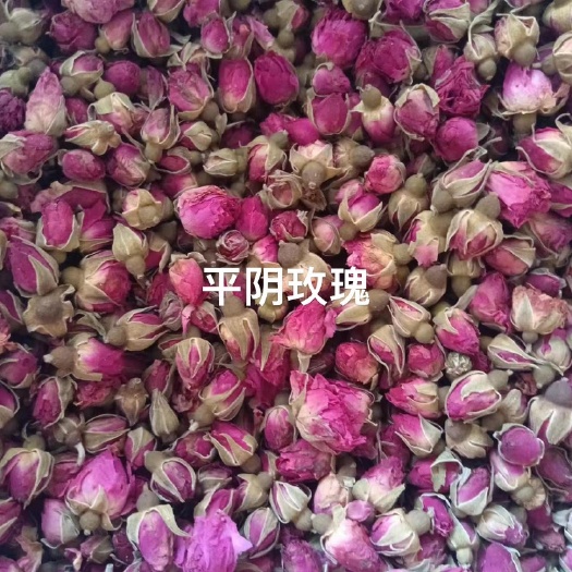 平阴玫瑰玫瑰花平阴