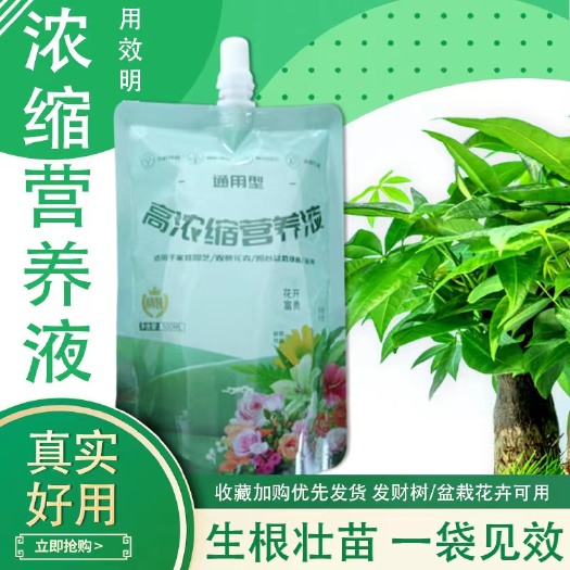祁东县高浓营养液壮根养苗绿叶促花水溶肥养根苗
