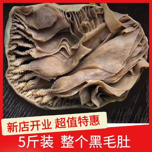 重庆市新鲜整个毛肚5斤包邮商用带底板大叶片爽脆牛百叶千层肚火锅食材