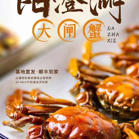 常熟市苏州阳澄湖镇大闸蟹，支持一件代发，供应中