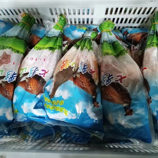 七彩山鸡白条！品质优先！客户至上！