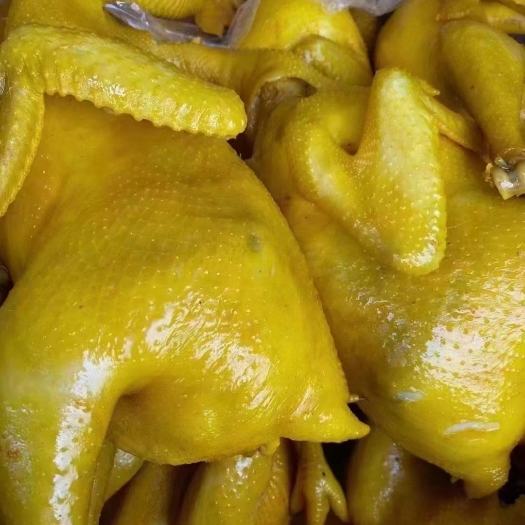 重庆市广式盐焗鸡 整只客家特产卤味手撕鸡