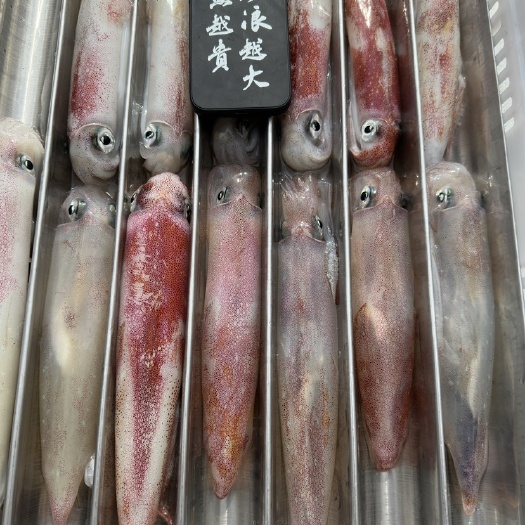 南澳县水产品