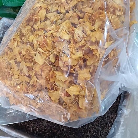 合肥鼔槌石斛花