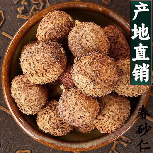 亳州砂仁