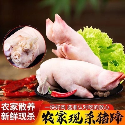 连云港新鲜猪蹄猪脚带筋猪前蹄大小均匀卤菜饭店