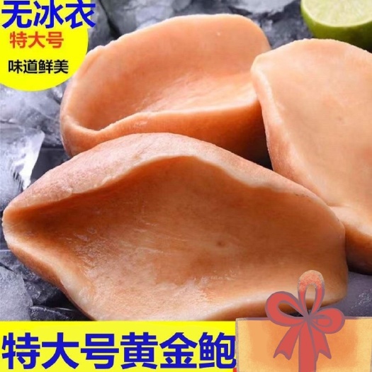 黄金鲍鱼澳鲍新鲜海鲜冷冻黄金大鲍鱼特大澳鲍螺肉