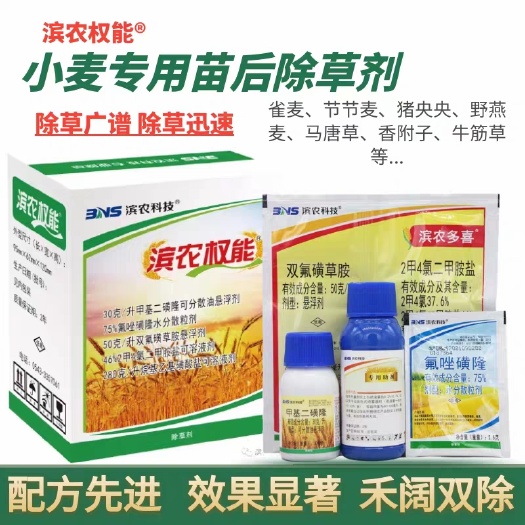 济南滨农权能小麦田除草剂全打型燕麦雀麦节节麦麦蒿荠菜猪殃殃野麦子