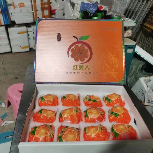 南靖县福建红美人不是象山红美人。