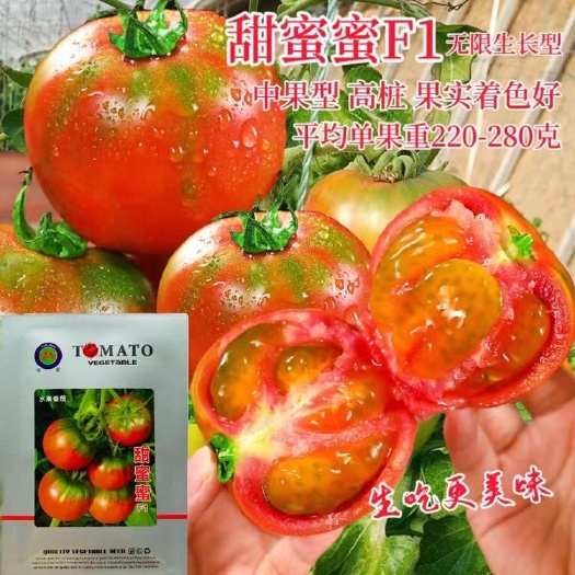 宿迁甜蜜蜜水果番茄种子 绿太郎草莓西红柿种子 口感型番茄种子