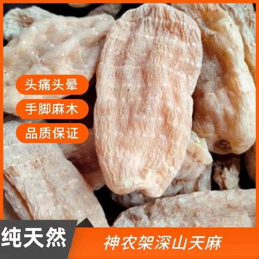 房县神农架高海拔天麻高山天麻干天麻滋补煲汤天麻养生