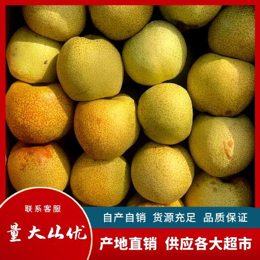 安徽砀山酥梨，产自百年老梨树，产地直销，供应各大超市，批发