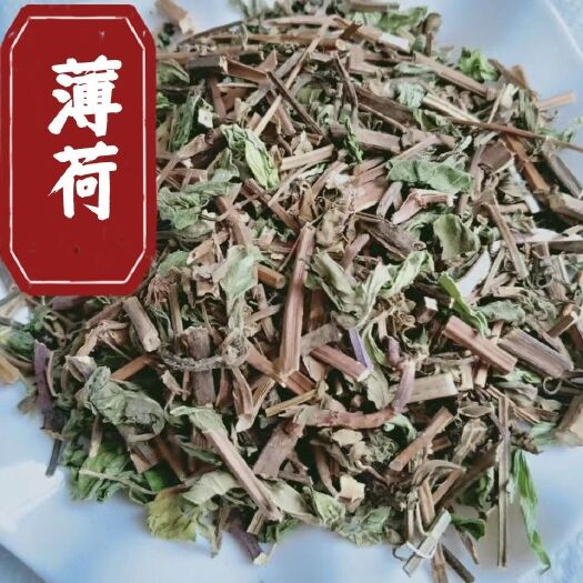 亳州薄荷