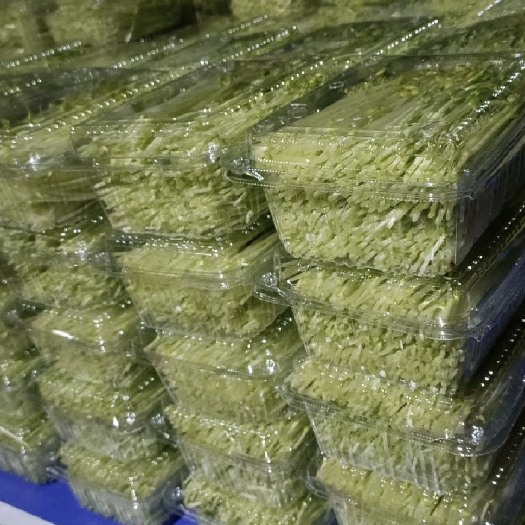 巫山新鲜嫩豌豆苗