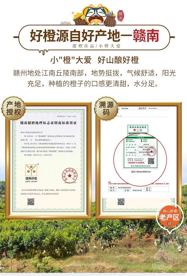 【大减价包邮】江西赣南脐橙新鲜爽甜多汁整箱自家果园现摘现发