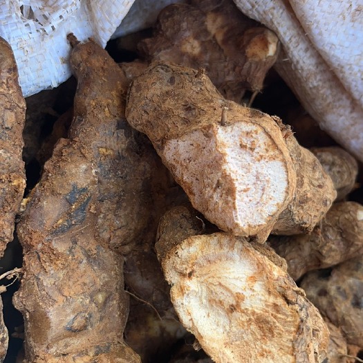 贺州土茯苓小土白肉粉质不变色