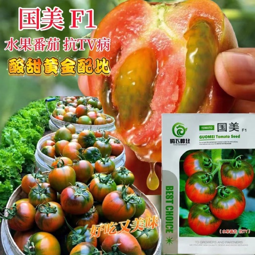 宿迁国美水果番茄种子 口感型铁皮柿子酸甜西红柿种子