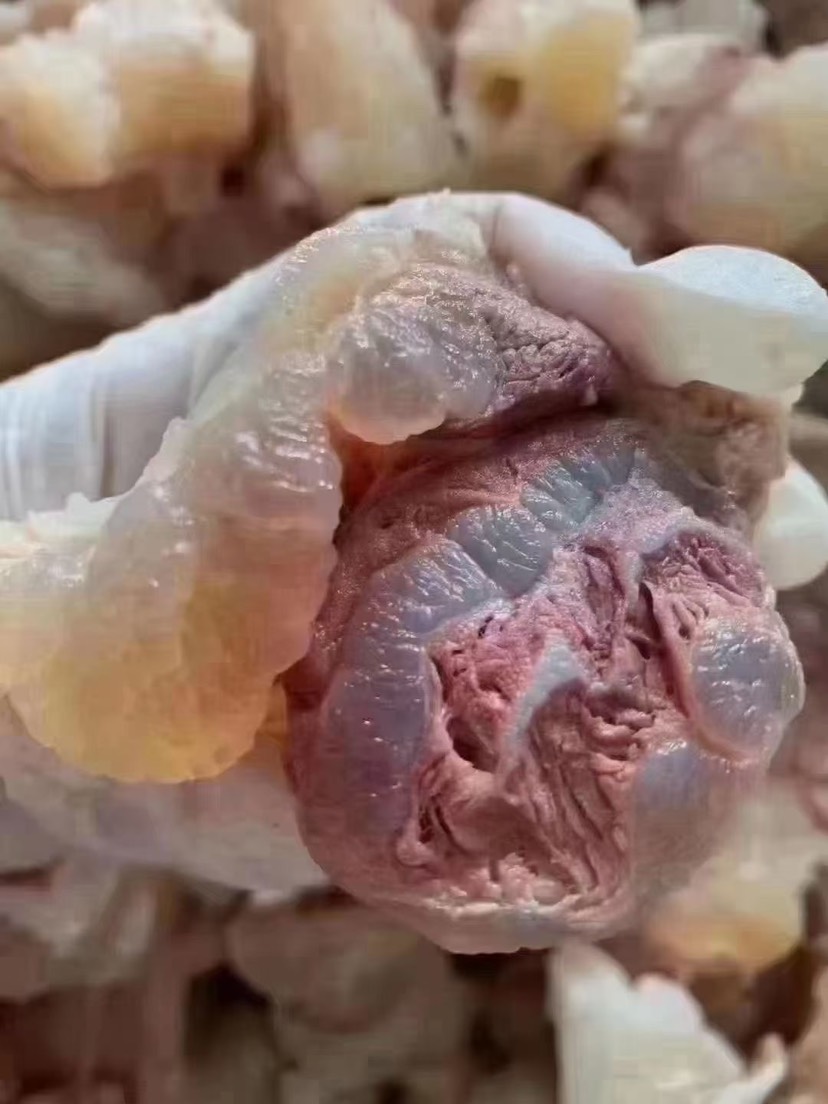 筋头巴脑