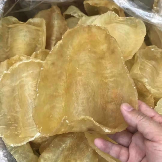 斗湖胶出众的修复力！无腥味，厚肉！粘！胶原蛋白丰富