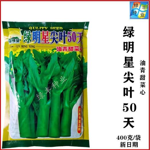广州绿明星尖叶50天菜心种子基地专用亚明油青甜菜心春夏秋季蔬菜种