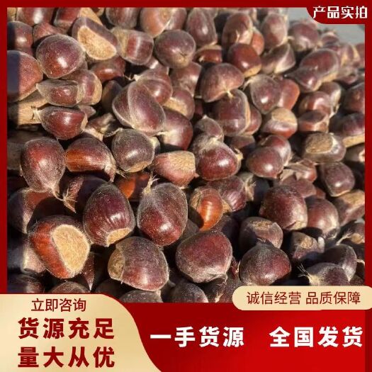 【产地直发】2024迁西板栗3113河北唐山 质优价廉，