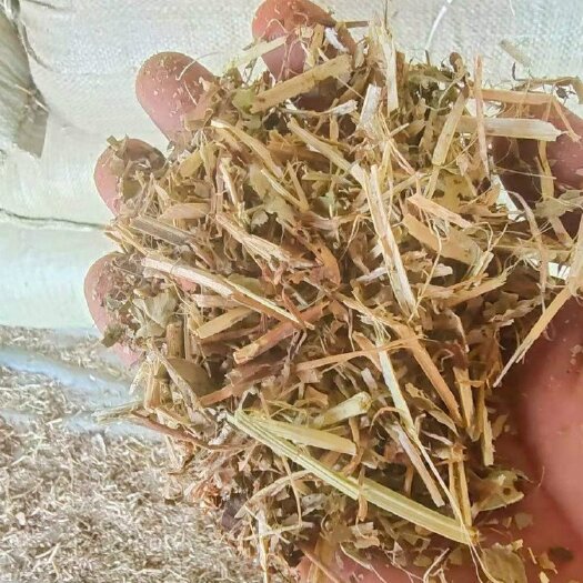 上蔡县2023年的新牛羊牧草，花生秧子，优质花生秧干草