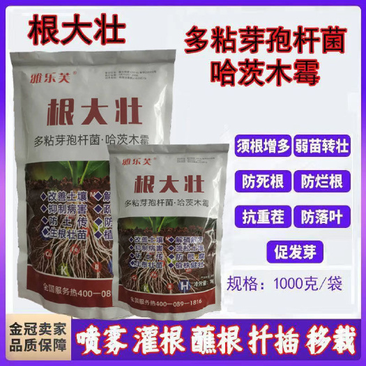 荥阳市根大壮抗根腐土传病害抗重茬改良土壤改良剂防病害壮苗微生物菌肥