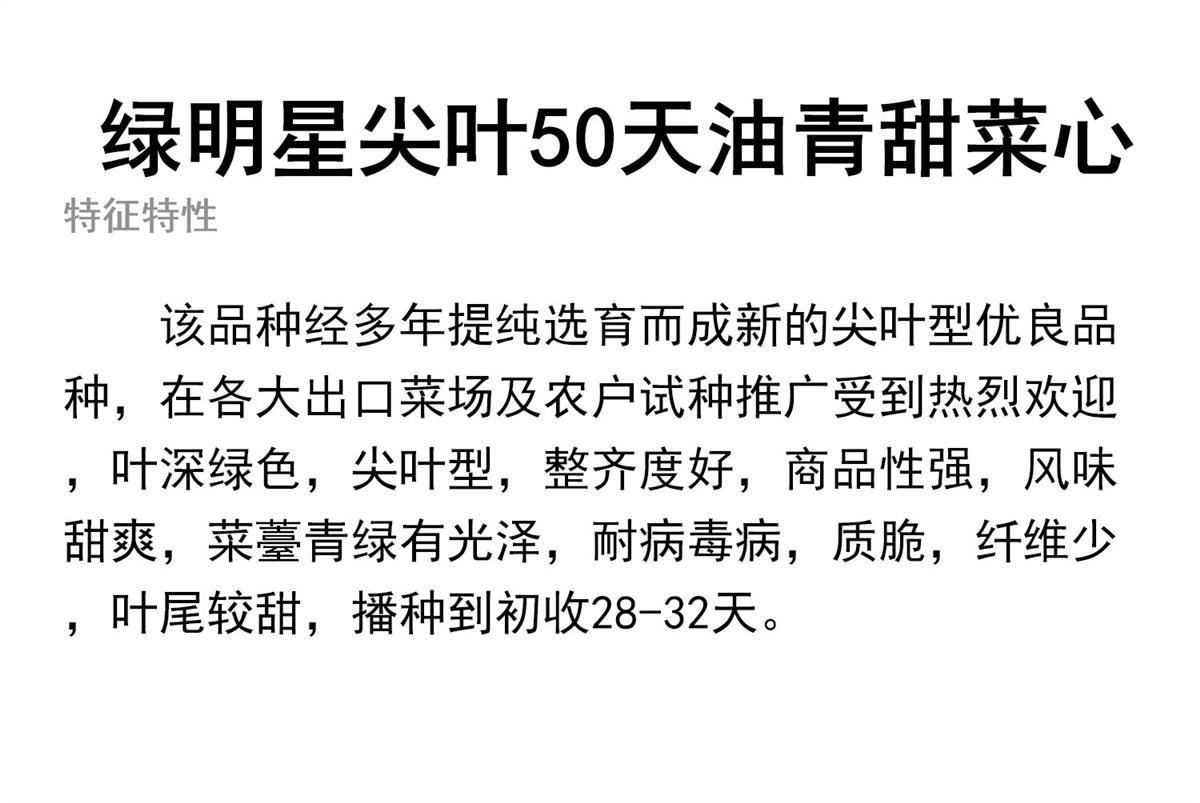 绿明星尖叶50天菜心种子基地专用亚明油青甜菜心春夏秋季蔬菜种