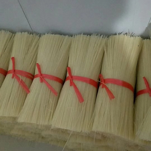 南城县江西米粉供应链