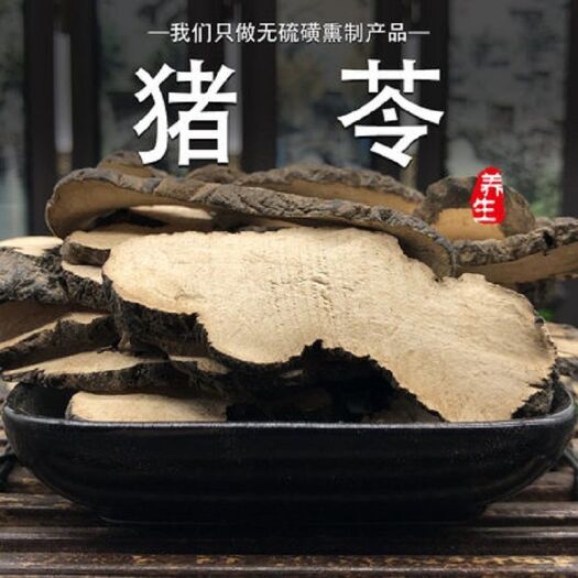 猪苓
