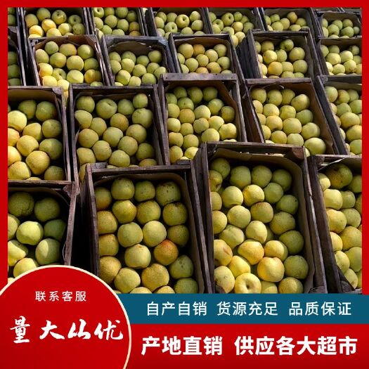 砀山县砀山酥梨产自百年老梨树，皮薄汁多香甜酥脆，品质有保障！