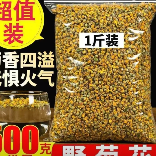 大冶市野菊花