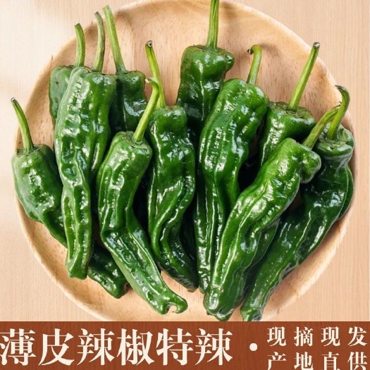 阜南县薄皮特辣，籽少