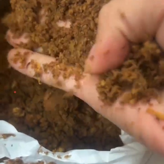 重庆市脱水苹果渣