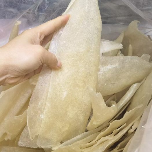 湛江巴沙胶三角肚胶巴沙花胶三角花胶肚