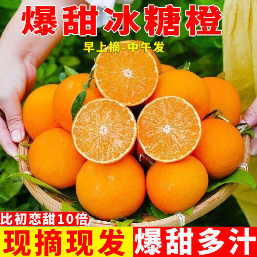 麻阳县麻阳冰糖橙包邮包售后坏果包赔一件代发批发
