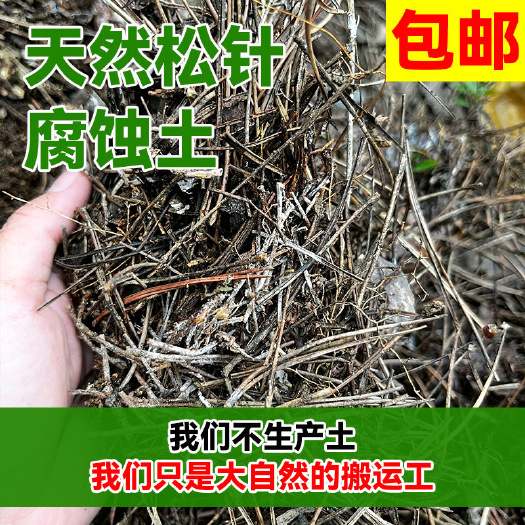 松针腐殖土兰花专用营养土腐叶土多肉君子兰花土松针土